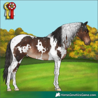Horse Color:White Spotted Liver Chestnut Tobiano Rabicano