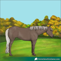 Horse Color:Silver Black 