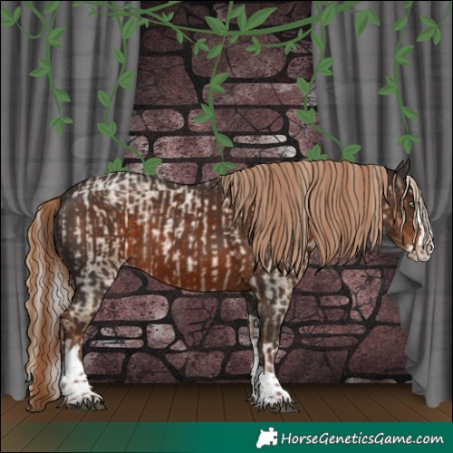 Horse Color:Chocolate Palomino Roan Splash  and Liver Chestnut Splash Tobiano Rabicano 