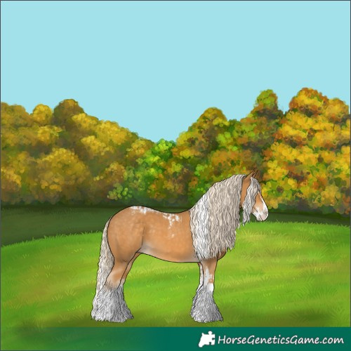 Horse Color:Palomino Splash  and Palomino Splash Tobiano 