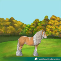 Horse Color:Palomino Splash  and Palomino Splash Tobiano 