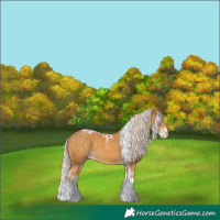 Horse Color:Palomino Splash  and Palomino Splash Tobiano 