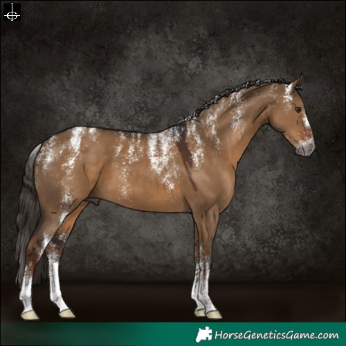 Horse Color:Powder White Gray Liver Red Dun 