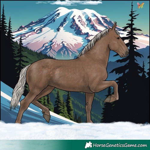 Horse Color:Silver Black 