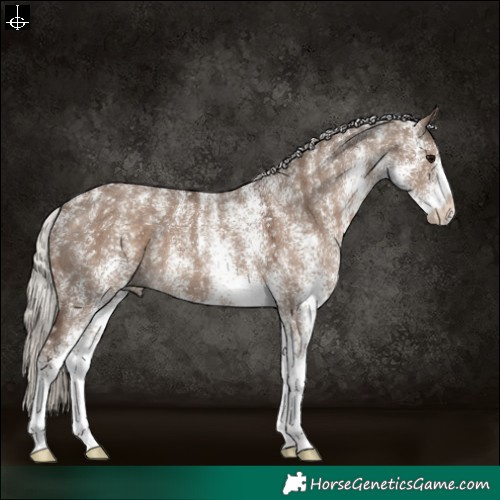 Horse Color:Powder White White Spotted Silver Grullo 
