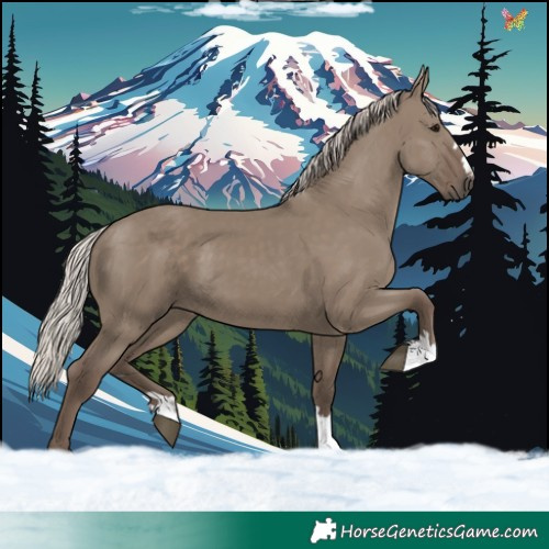 Horse Color:Silver Grullo