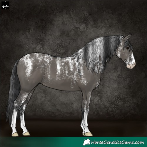 Horse Color:Powder White Grullo 