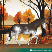 Horse Color:White Spotted Liver Chestnut 