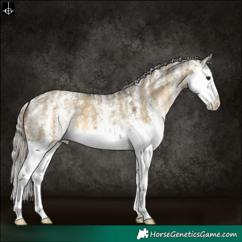 Horse Color:Powder White White Spotted Silver Buckskin Dun Splash 