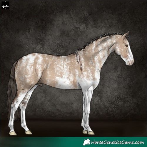 Horse Color:Powder White White Spotted Liver Red Dun 