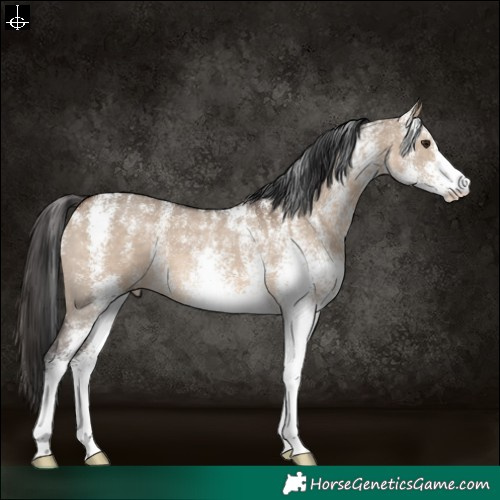 Horse Color:Powder White White Spotted Bay Dun 