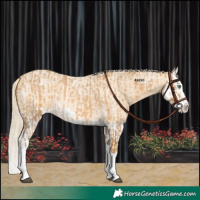 Horse Color:Palomino Roan Splash and Gold Cream Champagne Roan Splash