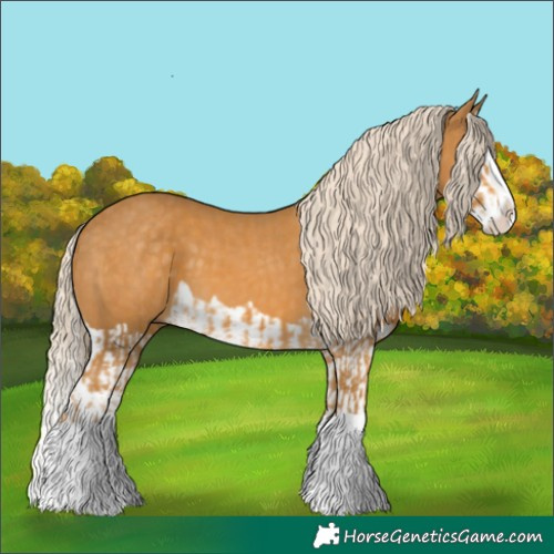 Horse Color:Palomino Splash  and Palomino Splash 