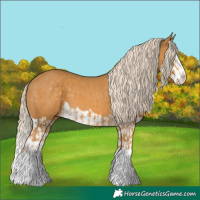 Horse Color:Palomino Splash and Palomino Splash