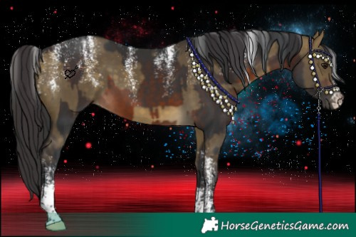 Horse Color:Powder White Brown and Powder White Buckskin Dun