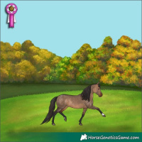 Horse Color:Bay Dun Rabicano