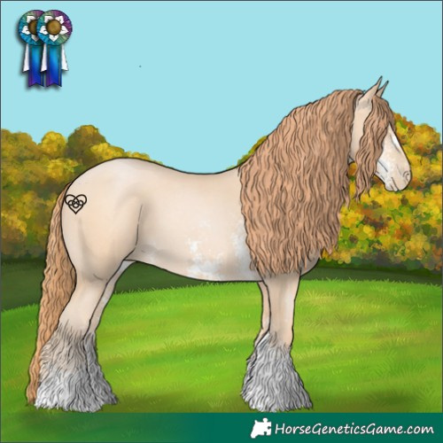 Horse Color:Bay Snowdrop Pearl Sabino 