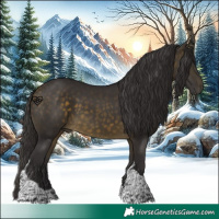 Horse Color:Buckskin Tobiano 