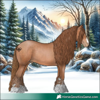 Horse Color:Brown Pearl Rabicano 