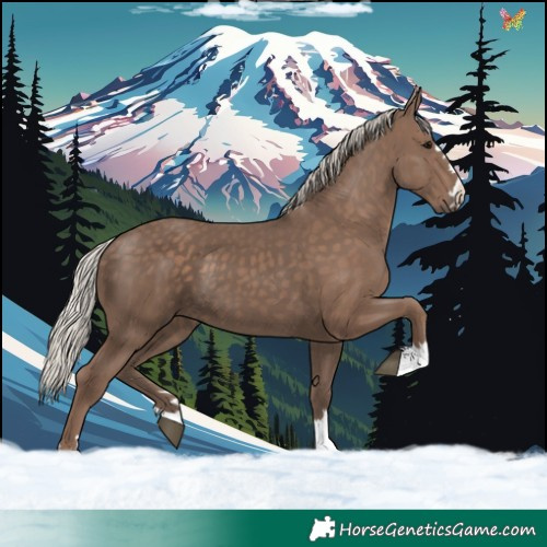 Horse Color:Silver Black 