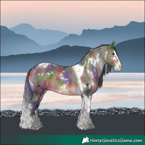 Horse Color:Nacre White Spotted Brown Dun Splash Tobiano 