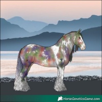 Horse Color:Nacre White Spotted Brown Dun Splash Tobiano