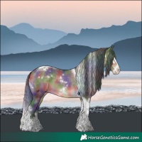 Horse Color:Nacre White Spotted Brown Dun Splash Tobiano 