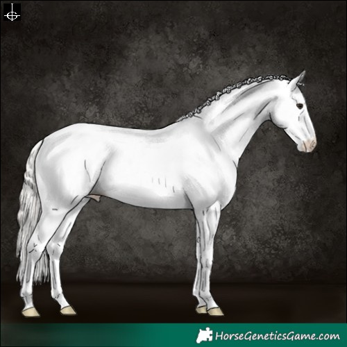 Horse Color:White Spotted Silver Bay 