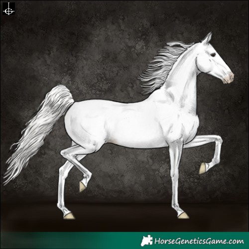 Horse Color:White Spotted Silver Bay 