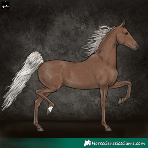 Horse Color:Silver Black 