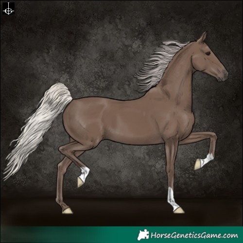 Horse Color:Silver Black 