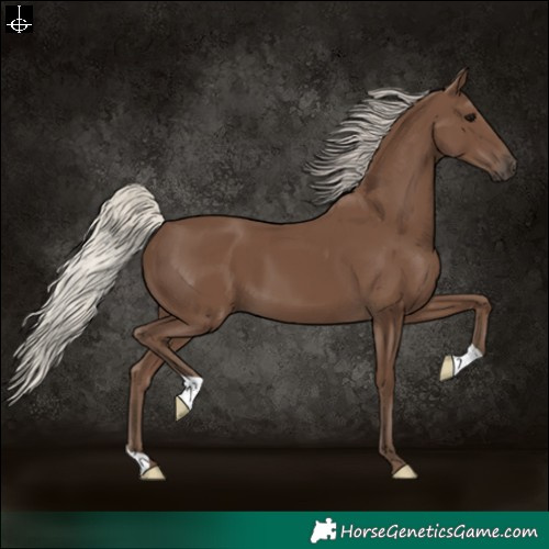 Horse Color:Silver Black 