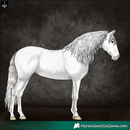Horse Color:White Spotted Silver Bay 