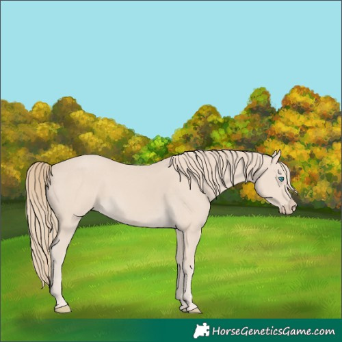 Horse Color:Smoky Creme 