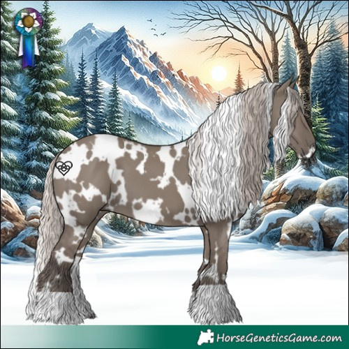 Horse Color:White Spotted Silver Grullo 