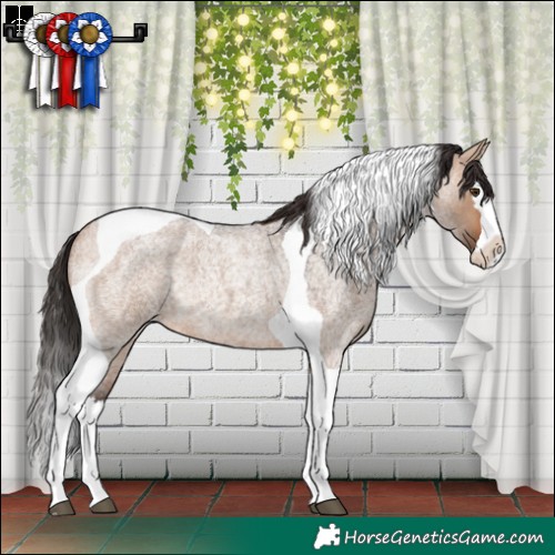 Horse Color:Bay Roan Dun Splash Tobiano Rabicano 