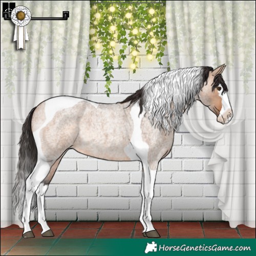 Horse Color:Bay Roan Dun Splash Tobiano Rabicano 