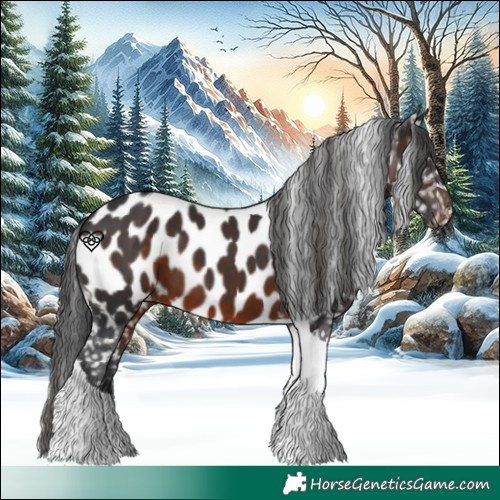Horse Color:Brown Tobiano Appaloosa 