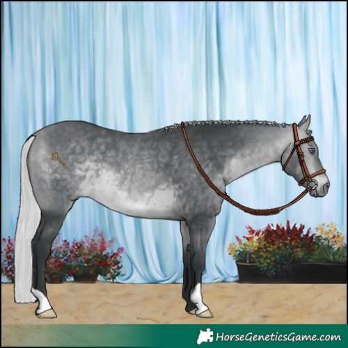 Horse Color:Silver Bay Chinchilla 