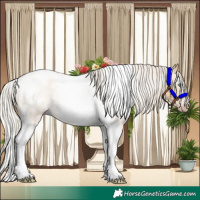 Horse Color:Gray Silver Amber Cream Champagne Roan Dun Splash Tobiano Frame Varnish Rabicano
