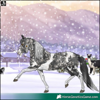 Horse Color:White Spotted Black Splash Tobiano 