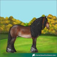 Horse Color:Bay Mushroom Tobiano Rabicano