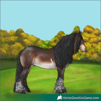 Horse Color:Bay Mushroom Tobiano 