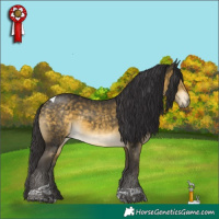 Horse Color:Buckskin Mushroom Tobiano 