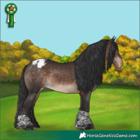 Horse Color:Bay Mushroom Tobiano Appaloosa
