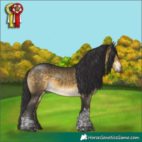 Horse Color:Buckskin Mushroom Tobiano Rabicano