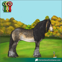 Horse Color:Buckskin Mushroom Tobiano Rabicano