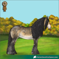 Horse Color:Buckskin Mushroom Tobiano 