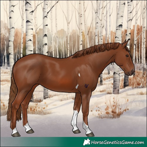 Horse Color:Chestnut Tobiano 