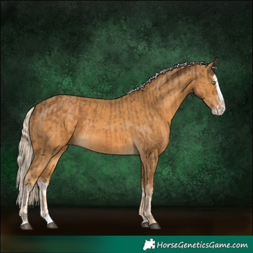 Horse Color:Chocolate Palomino Splash  and Palomino Splash 